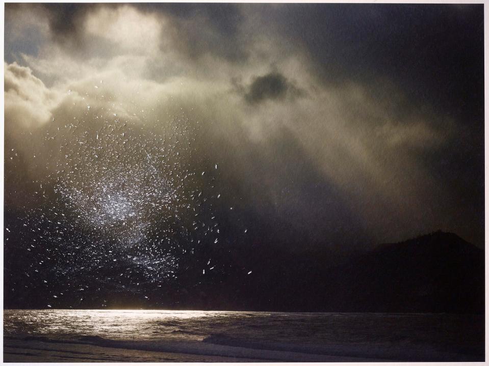 'The Flight of Night' by Tabitha Soren