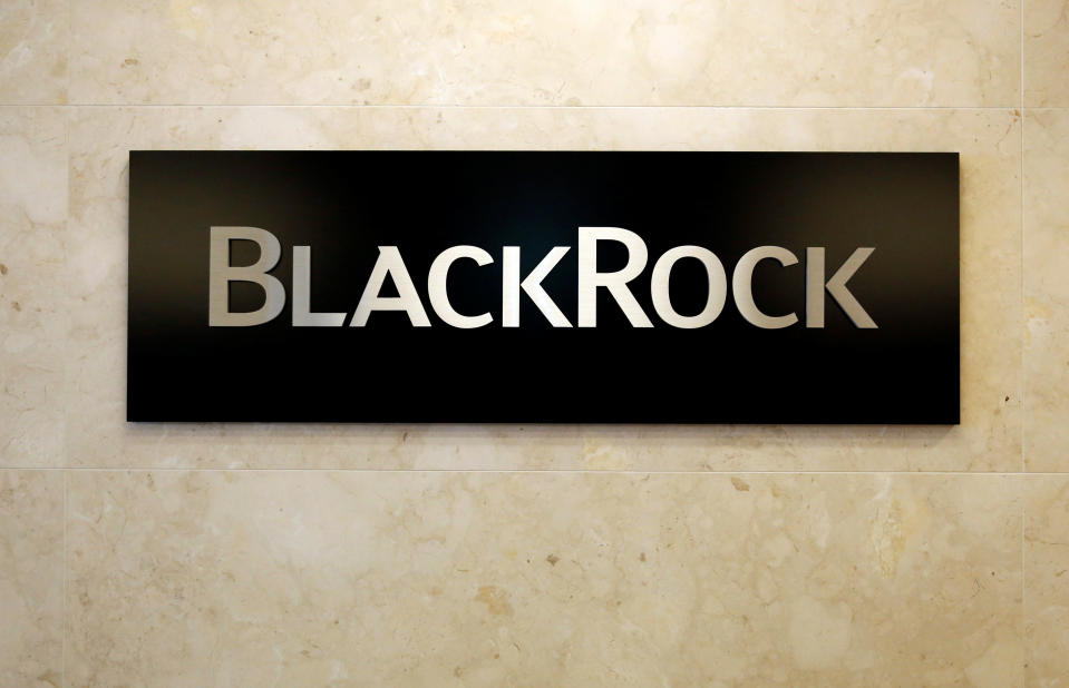 The BlackRock logo is seen at the BlackRock Japan headquarters in Tokyo, Japan, October 20, 2016.    REUTERS/Toru Hanai