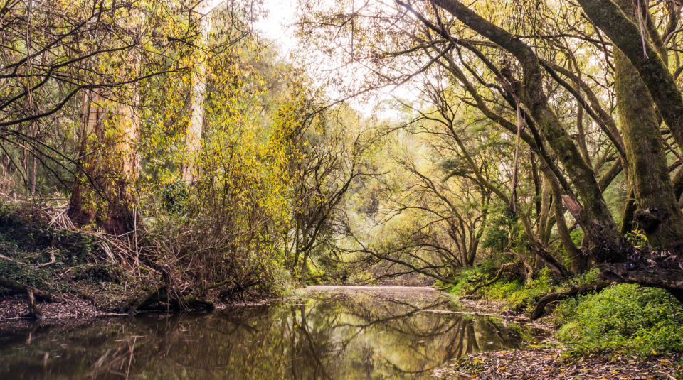 a scenic view down river in autumn