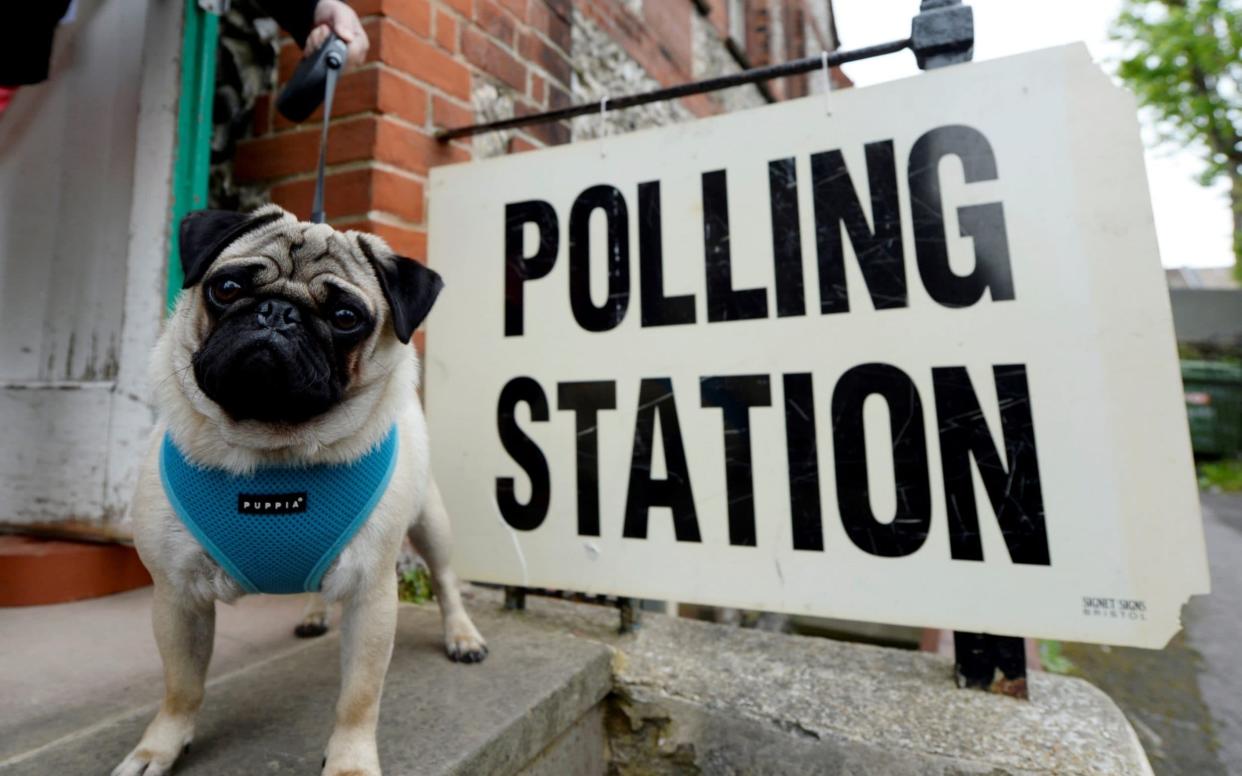 Polling day is tomorrow, December 12. - REUTERS