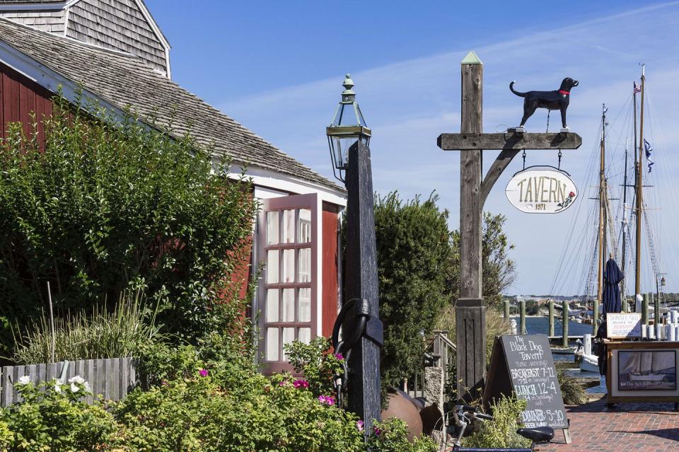 black dog tavern, vineyard haven, martha's vineyard,