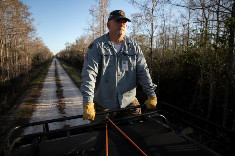 Thomas Aycock rides on top of his SUV as he explores the Everglades' swamps looking for Burmese pythons, near Ochopee