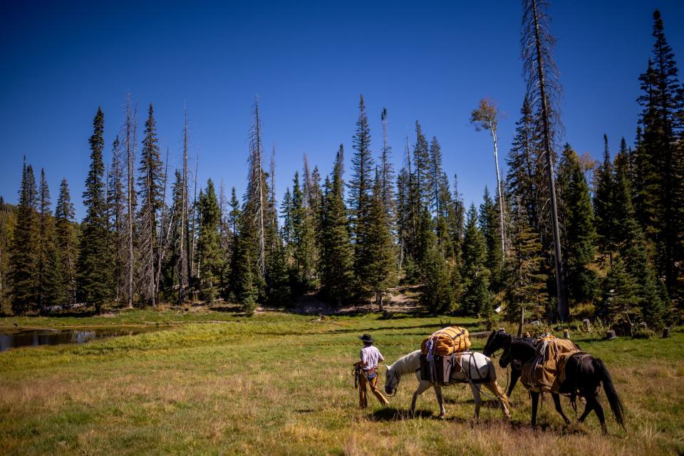 Jake Harvath leads his horses to a water source on the third day of his yearlong ride near Strawberry Reservoir on Wednesday, Sept. 27, 2023. | Spenser Heaps, Deseret News
