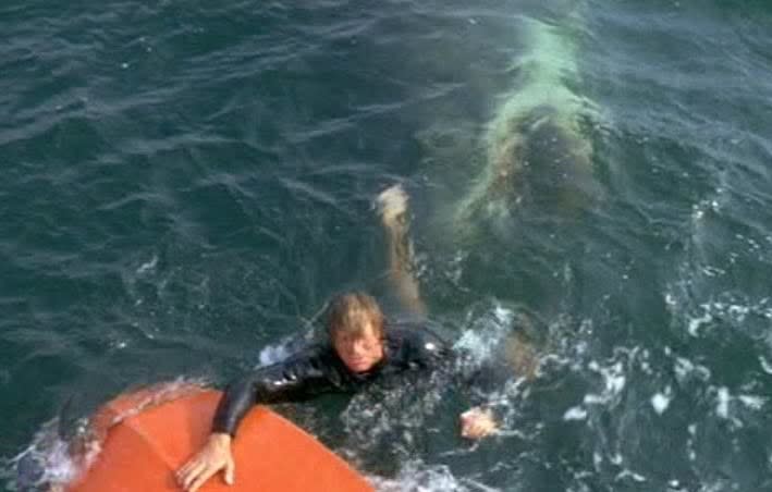 Man reaches for boat while shark bites him underwater