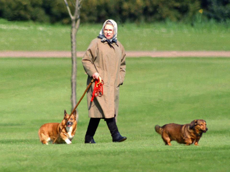 Queen Elizabeth II walking her dogs at Windsor Castle in April 1994.