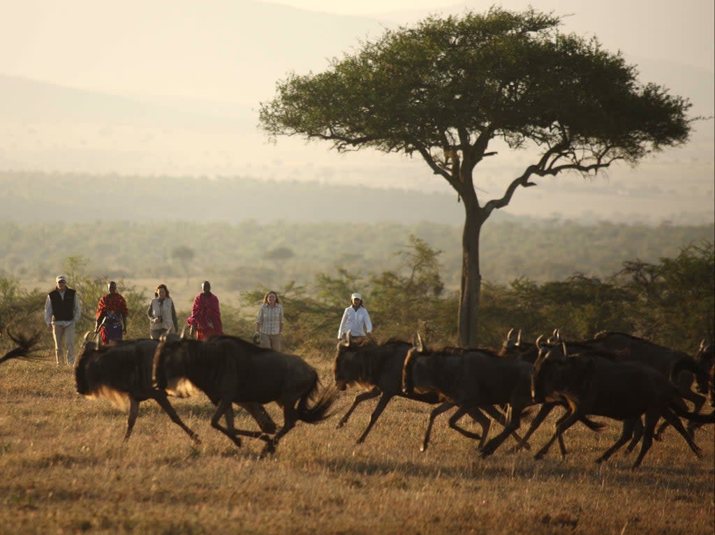 Red alert: Kicheche Valley in Kenya (Paul Goldstein)