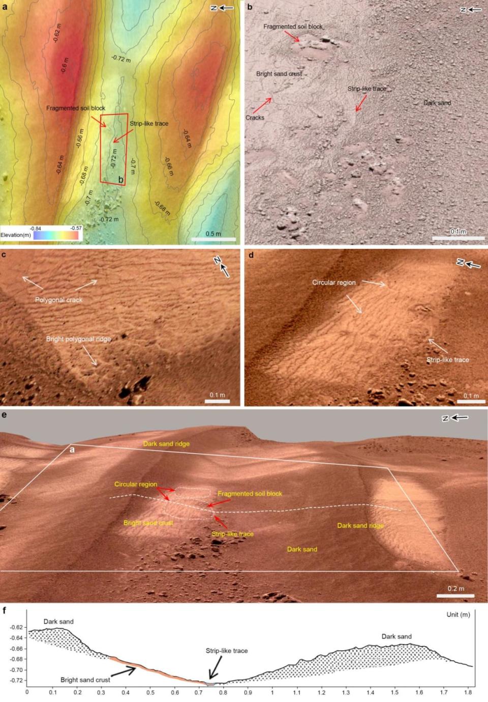 <div class="inline-image__caption"><p>(a) Topographic contour map of the environs where the trace is located. The coordinate system is east-north-up (ENU) local Cartesian coordinate and the origin is that of the rover coordinate system. The background Digital Orthophoto Map (DOM) photo was taken by NaTeCam. (b) MSCam bird’s-eye-view photo showing a strip-like trace and a likely water-soaked fragmented soil block. (c) Enlarged photo showing polygonal cracks and bright polygonal ridges. (d) Enlarged photo showing circular region with the strip-like trace as a part. (e) NaTeCam 3D image of an interdune depression between two dark longitudinal dunes. (f) A cross-section of the dune along the profile of the white dash line in (e).</p></div> <div class="inline-image__credit">IGGCAS</div>