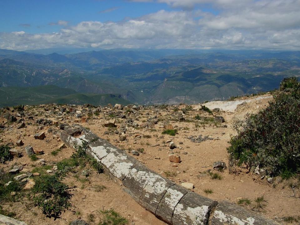 A large petrified log on open ground with rugged hills in the background