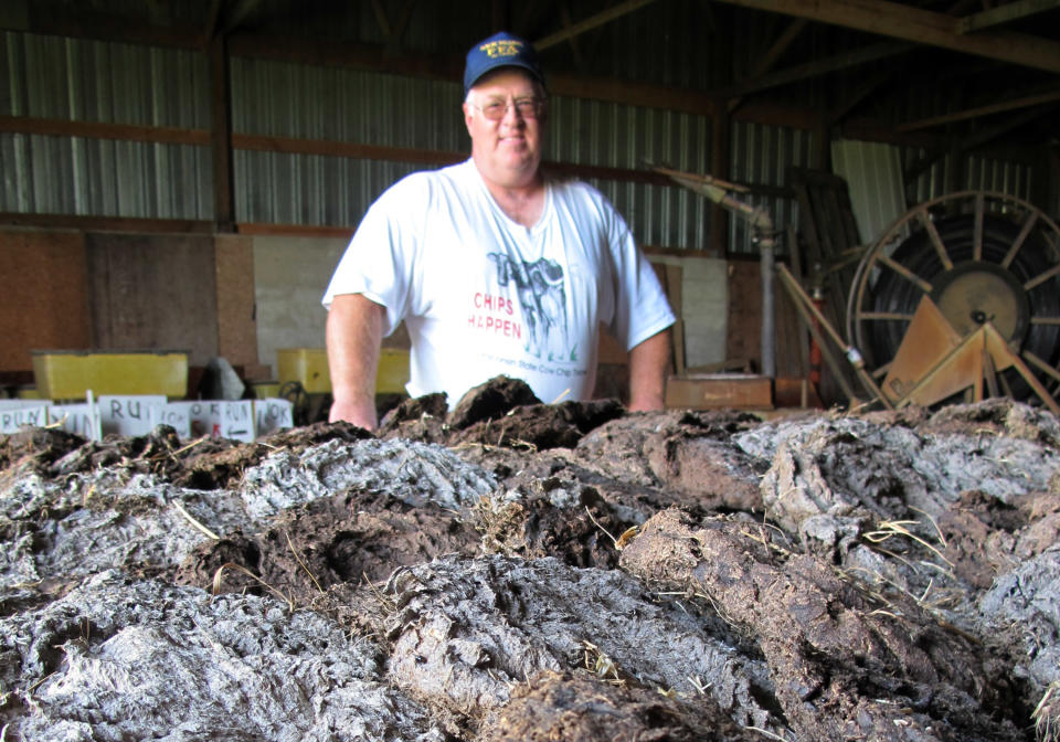 In this Tuesday, Aug. 28, 2012 photo, Terry Slotty, one of the organizers of the Wisconsin State Cow Chip throw, stands over this year's chips in Sauk City, Wis. Organizers had to dip into chip reserves because the drought caused a shortage. (AP Photo/Carrie Antlfinger)