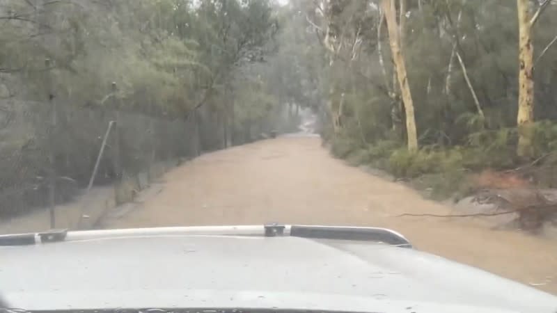 Inundaciones durante las fuertes lluvias en el Parque de Reptiles Australianos en Somersby, Nueva Gales del Sur, Australia, el 17 de enero de 2020