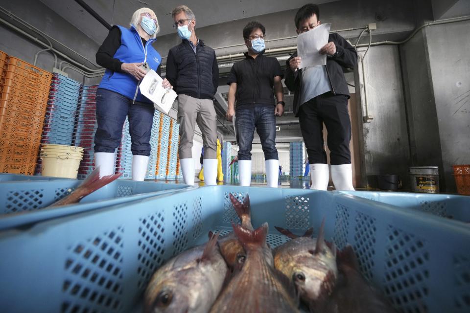 A team of experts from the International Atomic Energy Agency (IAEA) with scientists from China, South Korea and Canada observe the inshore fish during a morning auction at Hisanohama Port in Iwaki, northeastern Japan Thursday, Oct. 19, 2023. They are visiting Fukushima for its first marine sampling mission since the Fukushima Daiichi nuclear power plant started releasing the treated radioactive wastewater into the sea. (AP Photo/Eugene Hoshiko, Pool)