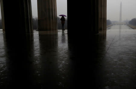 A person stands at the steps of the Lincoln Memorial in Washington, U.S., February 7, 2018. REUTERS/ Leah Millis