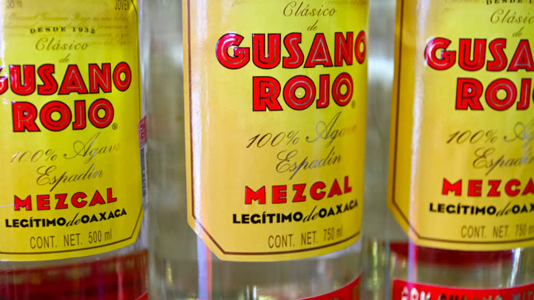 bottles of Gusano Rojo mezcal