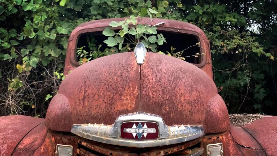 Kudzu grows in the cab of a rusting truck in Clay County.
