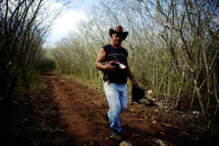 A cockfighting enthusiast brings his rooster to a cockfighting arena on the outskirts of Ciro Redondo, central region of Ciego de Avila province, Cuba, February 12, 2017. REUTERS/Alexandre Meneghini 