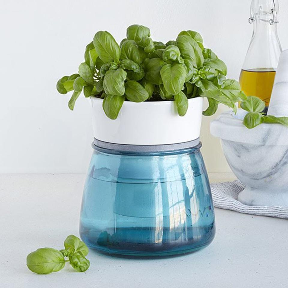 13) Self-Watering Kitchen Herb Pot