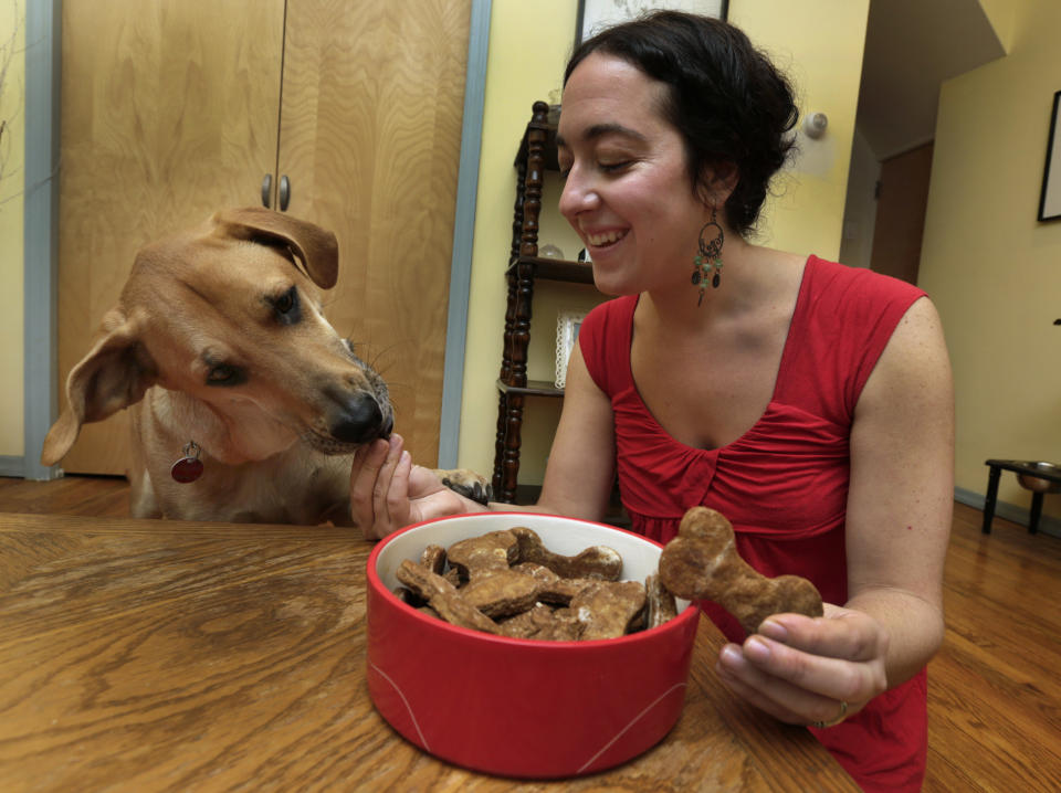 In this Saturday, Dec. 15, 2012 photo, New York pet columnist for the magazine "Everyday with Rachael Ray," Sarah Zorn, gives her dog Rowdy one of her gingerbread holiday dog biscuits, during a photo session in her home in Brooklyn, N.Y. (AP Photo/Richard Drew)