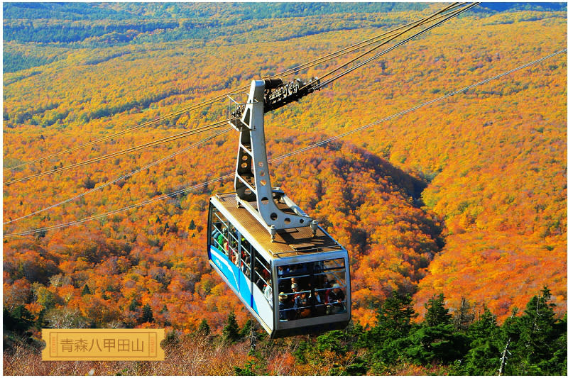 八甲田山紅葉絕景