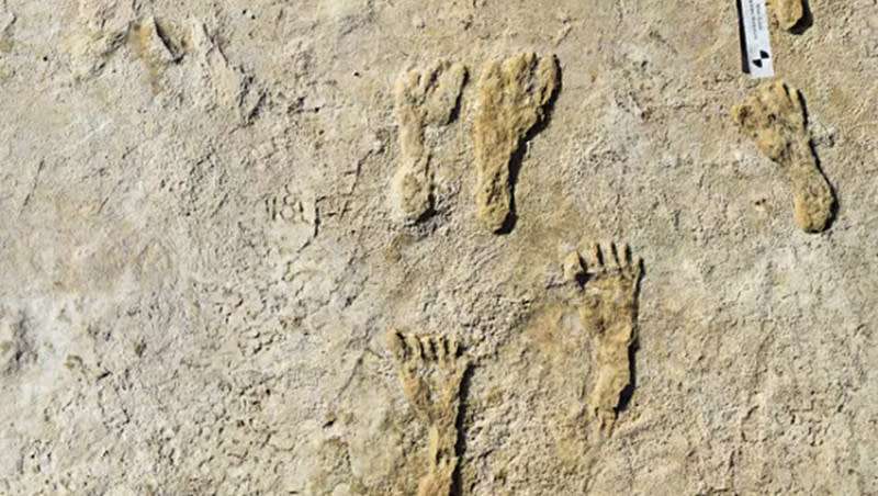 Footprints are pictured at White Sands National Park in New Mexico. Could such footprints indicate that humans traveled to the Americas earlier than previously known?