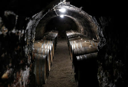 Wine barrels are seen in the cellar of Royal Tokaji in Mad, Hungary, April 12, 2019. Picture taken April 12, 2019. REUTERS/Bernadett Szabo