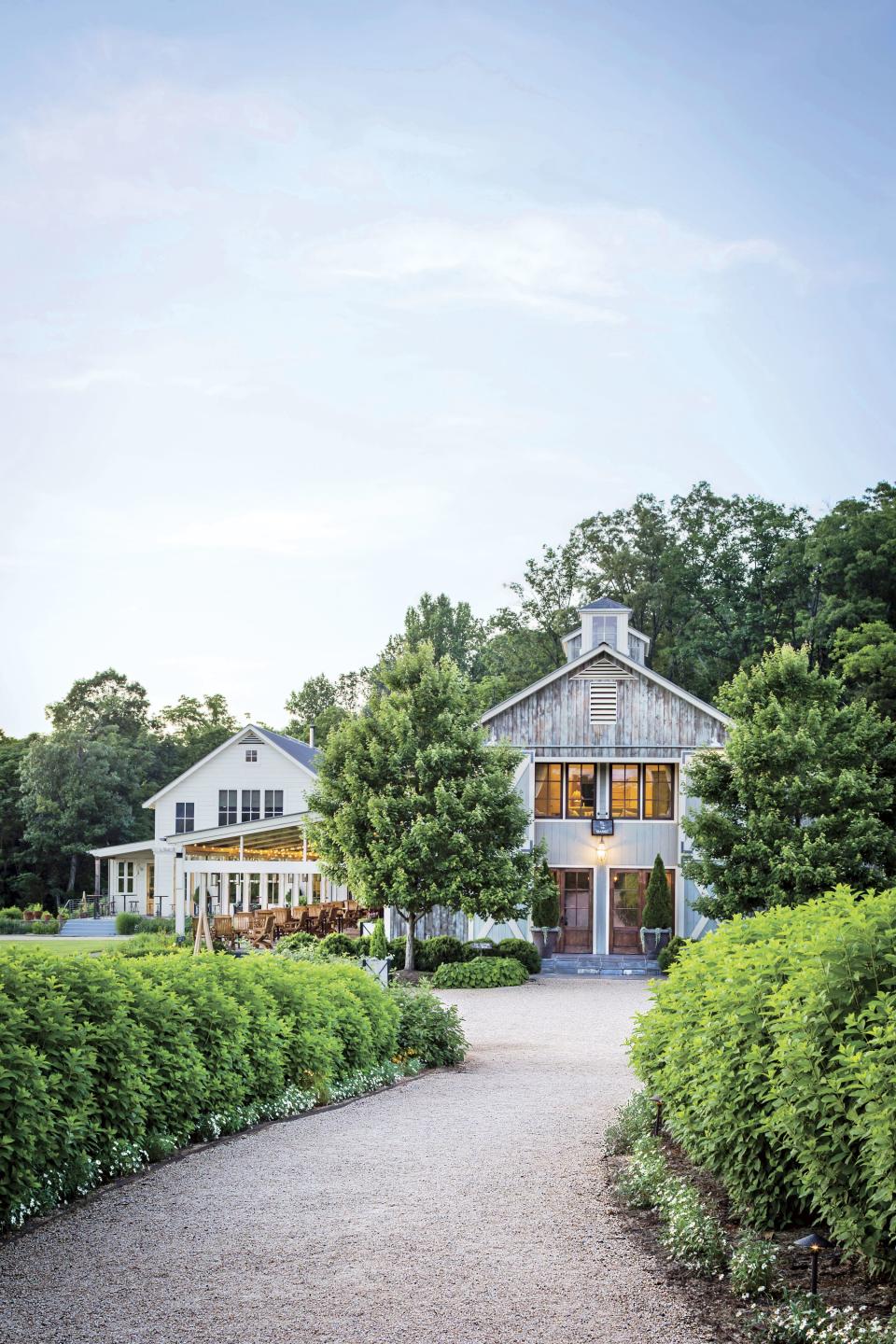 Wine and Dine Along the Monticello Wine Trail
