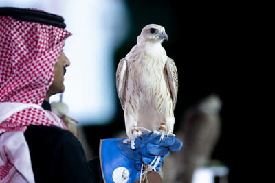 Inaugural AlUla Falcon Cup Celebrates Nine Days of Spectacular Heritage Sports and Record-Breaking Prizes