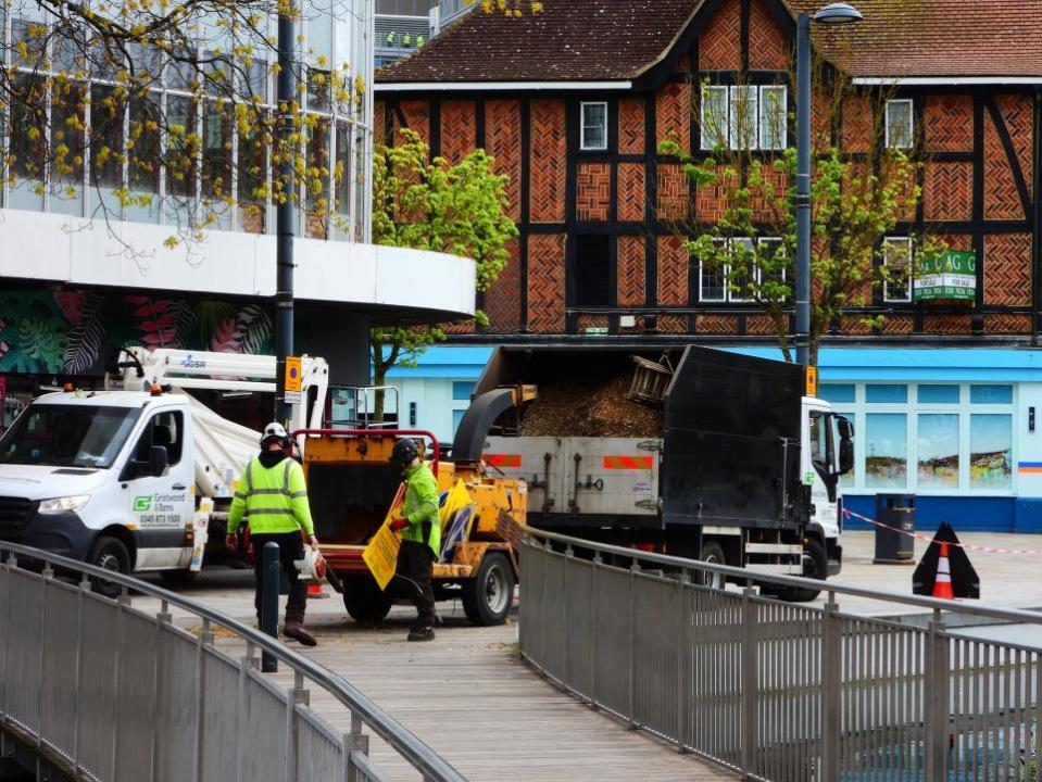 Watford Observer: The Parade tree being chopped on Sunday.