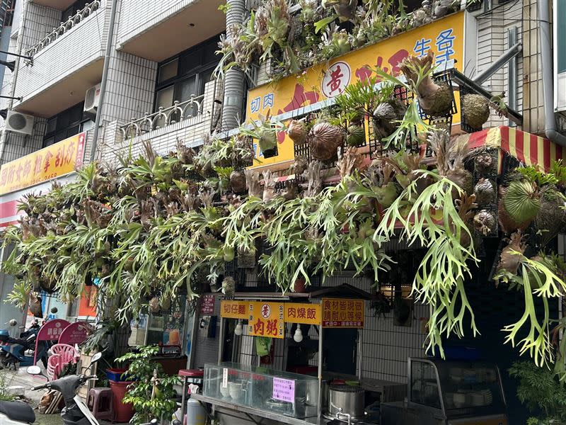 小吃店的屋簷上種了一整排鹿角蕨。（圖／翻攝自「路上觀察學院」臉書）