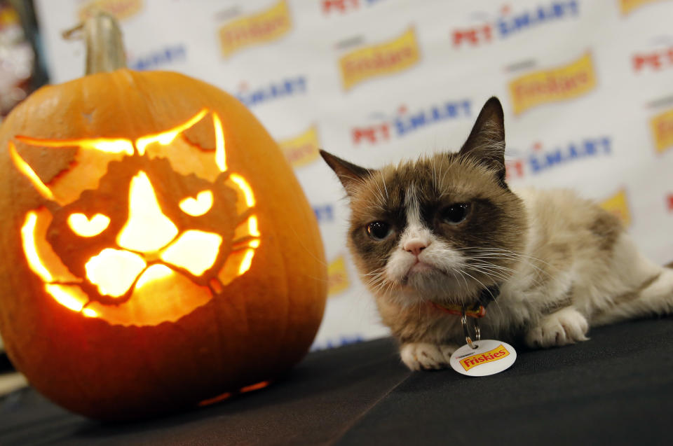 IMAGE DISTRIBUTED FOR FRISKIES - FriskiesÂ® âofficial spokescat,â Grumpy Cat, comes face-to-face with the first-ever Grump-O-Lantern to kick off a Halloween promotion with PetSmart. Famed sculptor Ray Villafane &lt;http://www.YouTube.com/PetSmart&gt; carved the pumpkin for the meet-up at a PetSmart store in Surprise, AZ on Thursday, October 2. Fans can download the exclusive Friskies stencil at www.PetSmart.com/Friskies &lt;http://www.PetSmart.com/Friskies&gt; and share their own Grump-O-Lantern photos using #Grumpkin.  (Rick Scuteri/AP Images for Friskies)