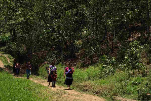 familias indígenas de pantelhó, chiapas, desplazadas por la violencia