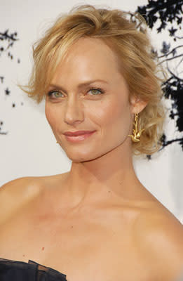 Amber Valletta at the Hollywood premiere of TriStar Pictures' Premonition