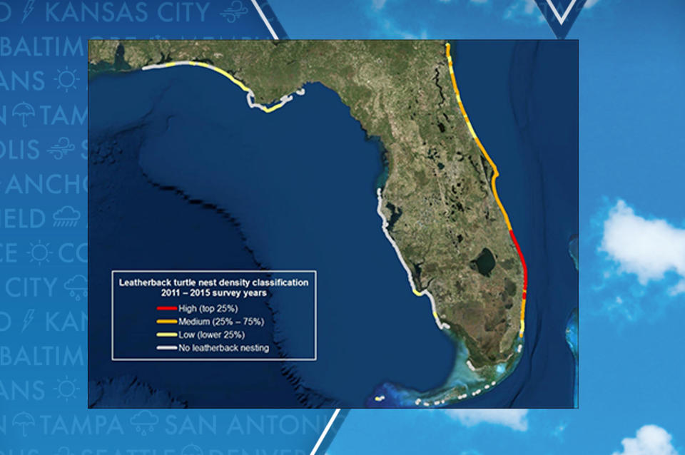 Leatherback nesting in Florida map