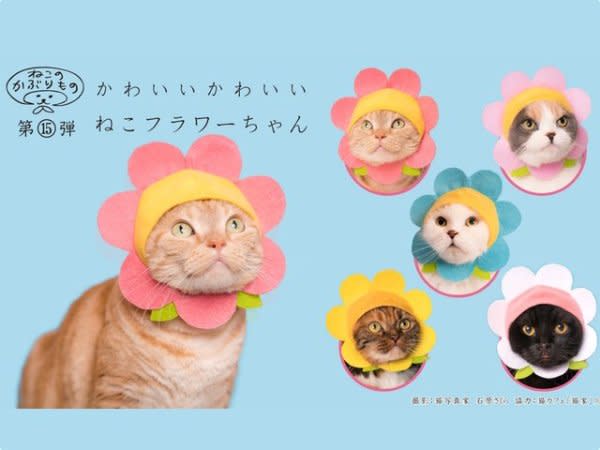 奇譚俱樂部推出第15彈像花朵一般綻放的貓咪頭套。