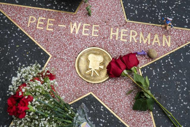 Pee-wee Herman star Paul Reubens' cause of death revealed