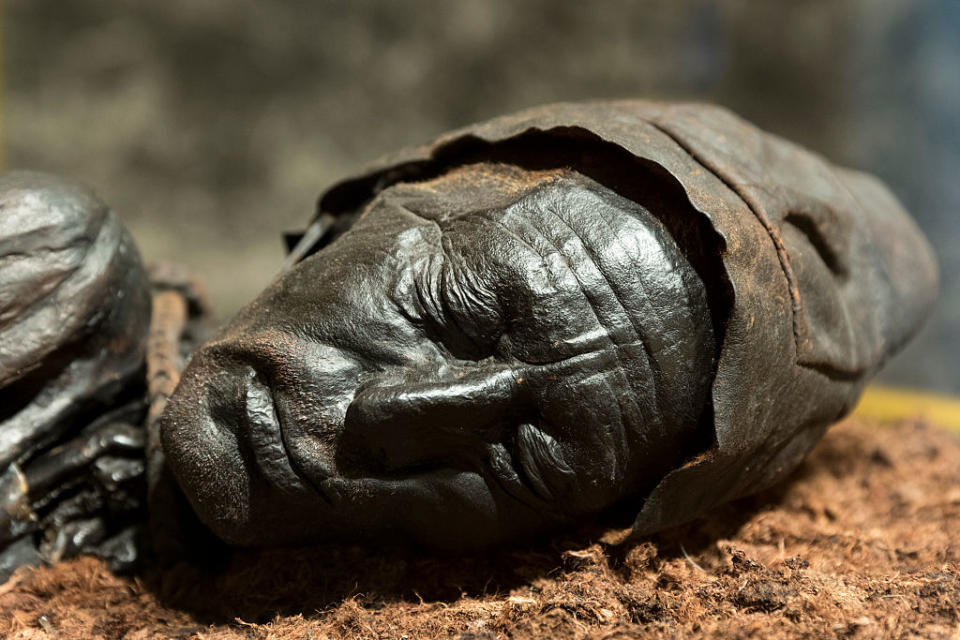 Close-up of a preserved mummy hand, exemplifying ancient preservation techniques