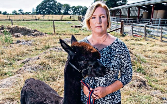 Helen Macdonald and Geronimo the alpaca - Tom Wren / SWNS.com