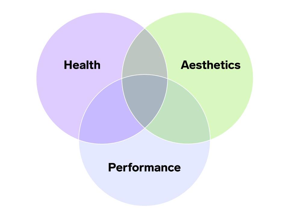 A venn Diagram with "Performance", "Aesthetics", and "Health"