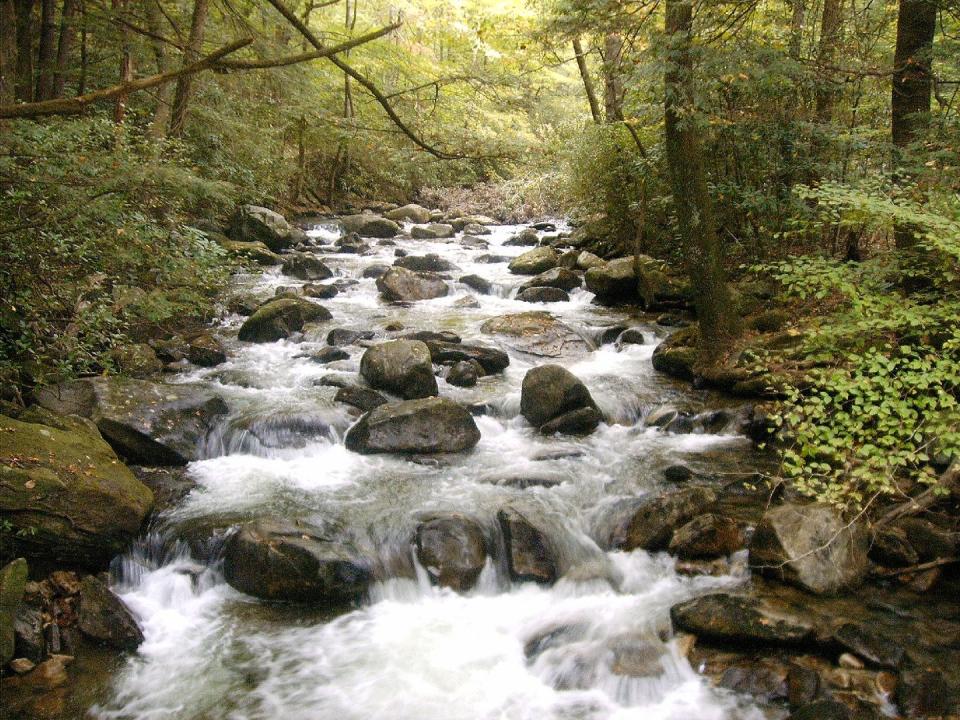 South Carolina: Jones Gap State Park