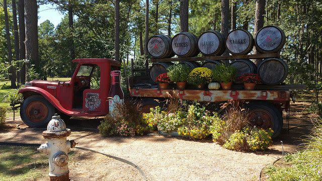 Motor vehicle, Vehicle, Transport, Tree, Vintage car, Car, Mode of transport, Classic, Botany, Rural area, 