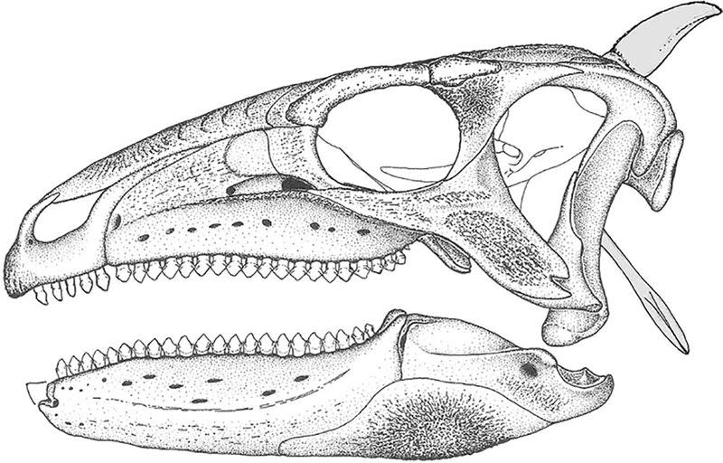 A life reconstruction of the Jurassic Period dinosaur Scelidosaurus