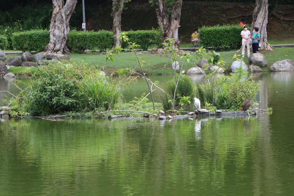 北市工務局公園處與志工通力合作，手工打造了兩座浮島