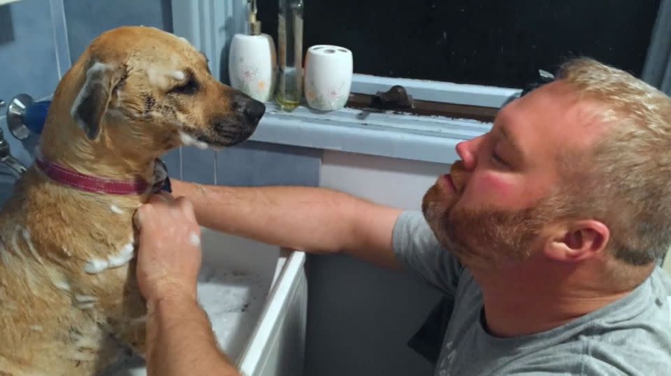 NSW Inspector James Arentz temporarily took Tilly in. Photo: RSPCA