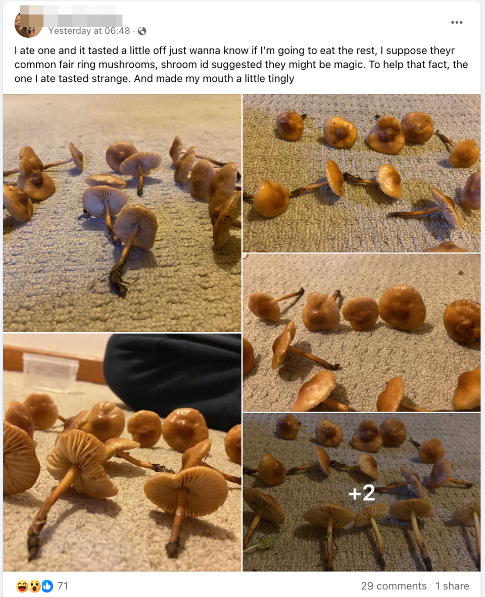 A Facebook screenshot of a man detailing his mushroom hunt. 