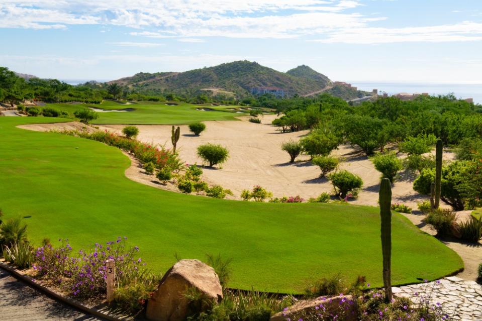 Cabo Del Sol Course