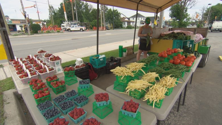 Bad weather forces Ottawa-area farm to send temporary workers south