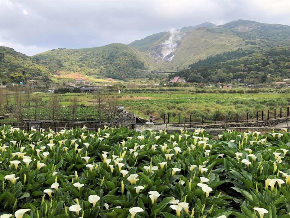 （圖片來源：台北市政府產業局）