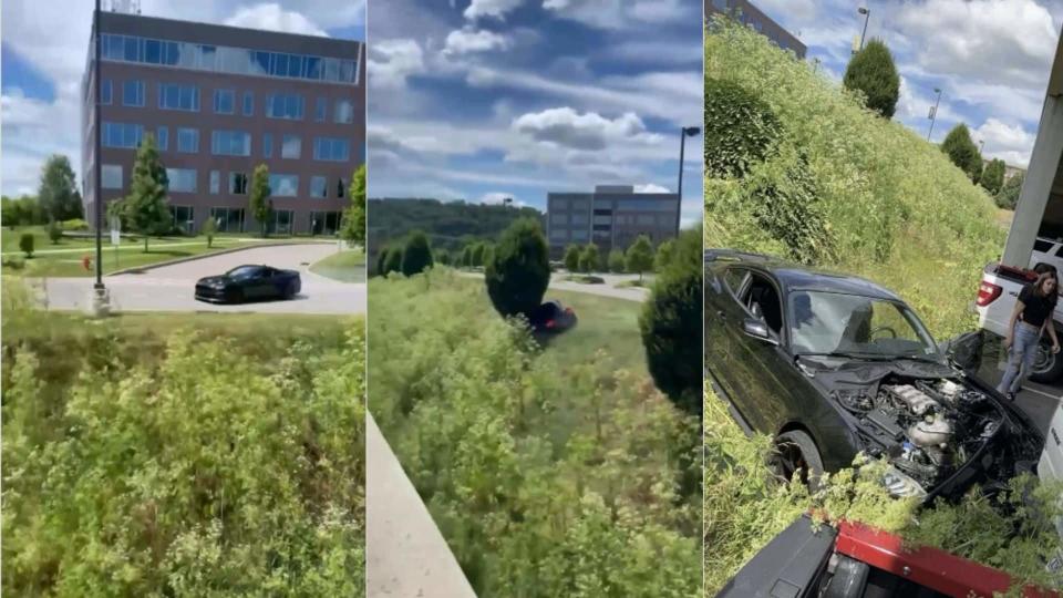 Watch A Ford Mustang Chop Down A Tree