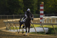 Preakness entrant Rombauer works out during a training session ahead of the Preakness Stakes horse race at Pimlico Race Course, Wednesday, May 12, 2021, in Baltimore. (AP Photo/Julio Cortez)