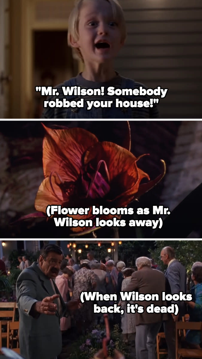 Mr. Wilson turning back to a flower that once bloomed but is now dead in under his view