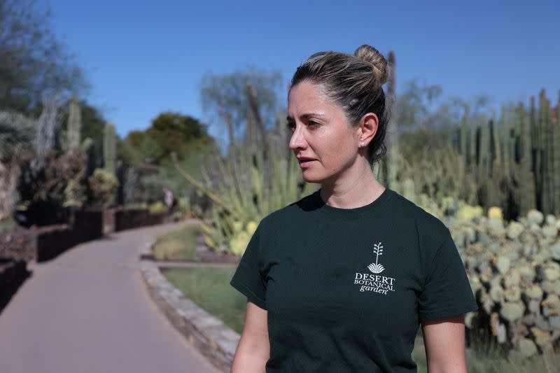 Arizona's extreme heat and drought is impacting the state's iconic Saguaro